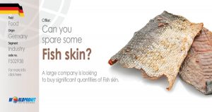 GBO Ad Fish skin F502938