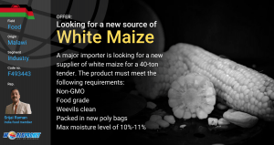 GBO Ad White Maize F493443