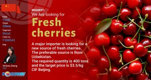 GBO Fresh cherries F288543