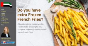 GBO Frozen French fries F392043