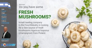 GBO Fresh Mushrooms F493236