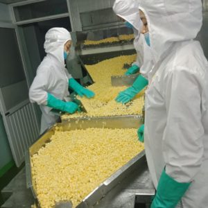 Vietnam IQF pineapple cubes production process