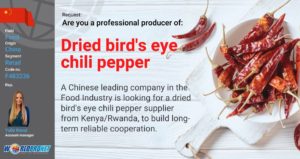 _GBO Dried bird's eye chili pepper F483236