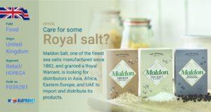 GBO Maldon salt F039281