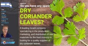 GBO Dry Coriander Leaves F273823