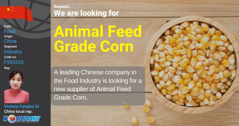 GBO Animal feed corn F593333