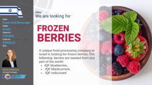 IQF Berries
