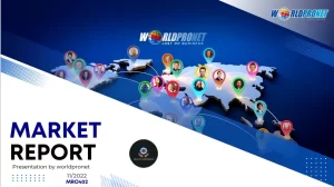 P.R Auto Components Market report