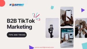Tiktok for B2B Business